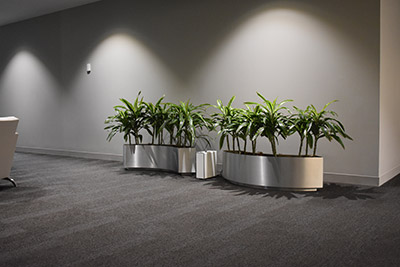 Lobbies and Entryways
