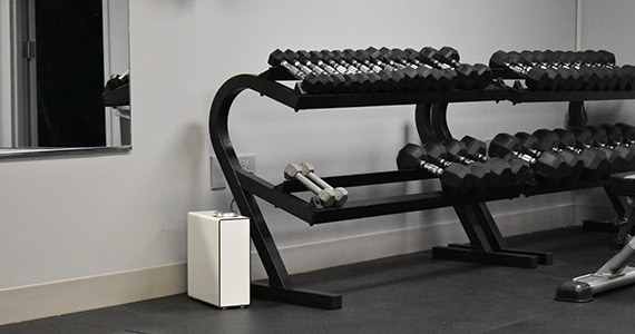Product Showcase